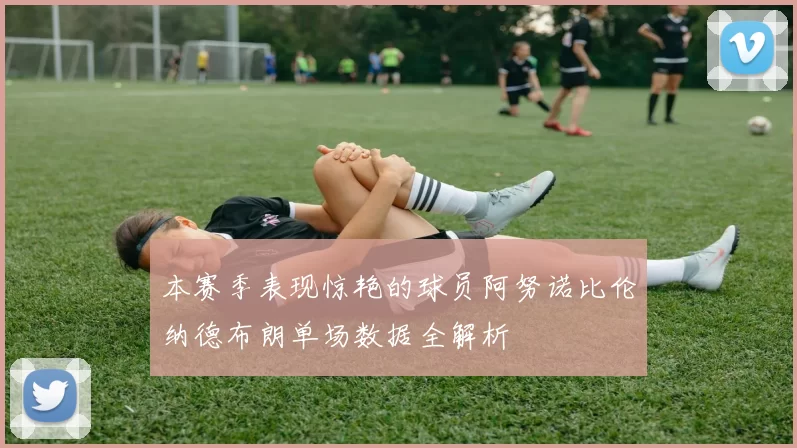 本赛季表现惊艳的球员阿努诺比伦纳德布朗单场数据全解析