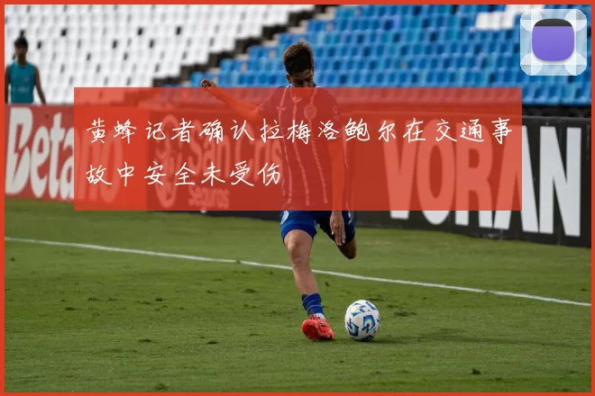 黄蜂记者确认拉梅洛鲍尔在交通事故中安全未受伤