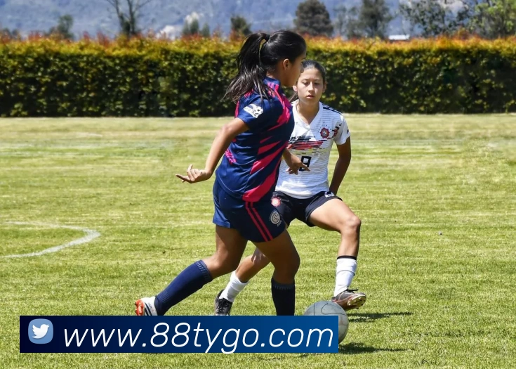 88体育服务体系